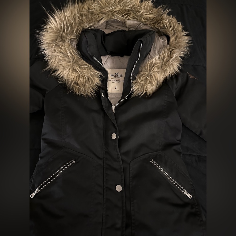 Hollister Coat
